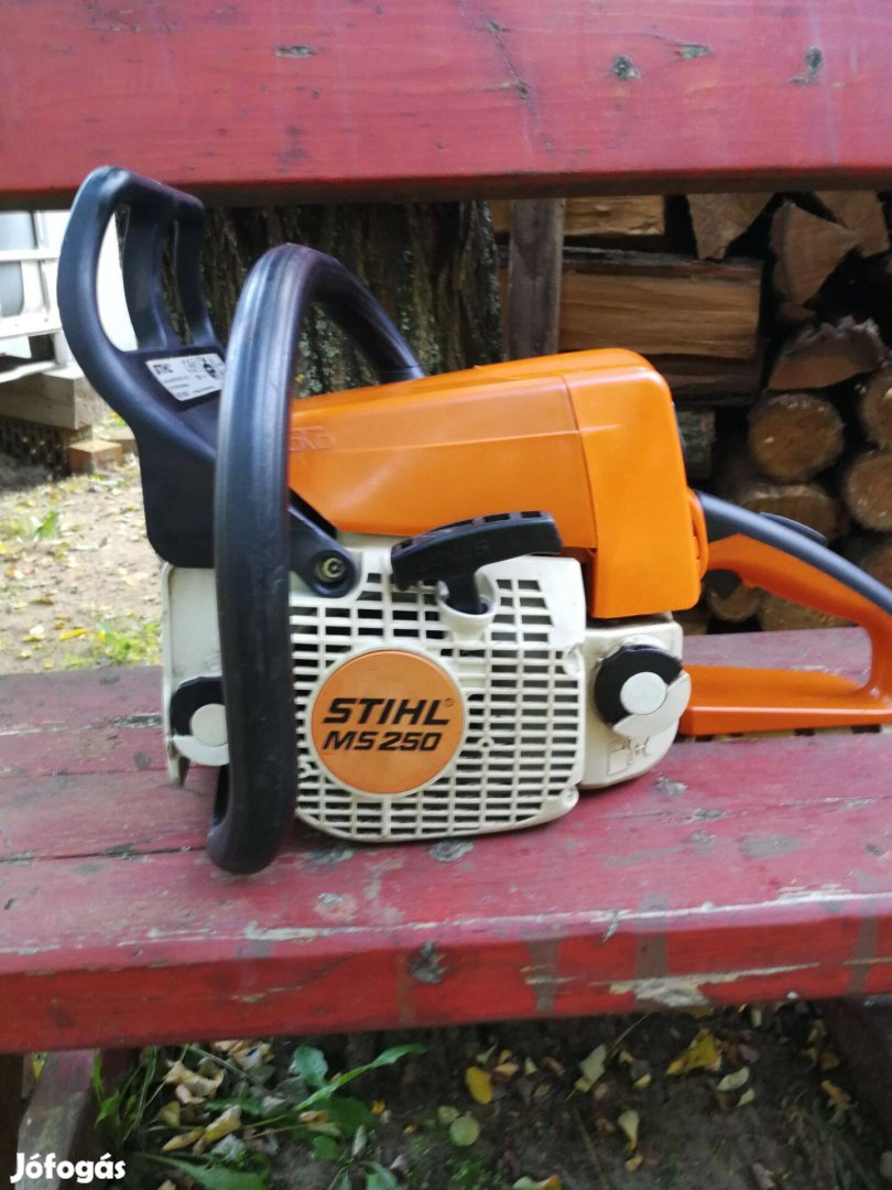 Stihl Ms 250