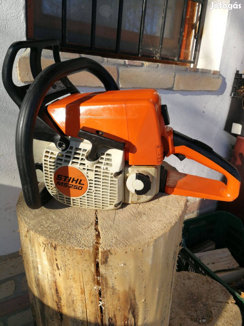 Stihl Ms 250