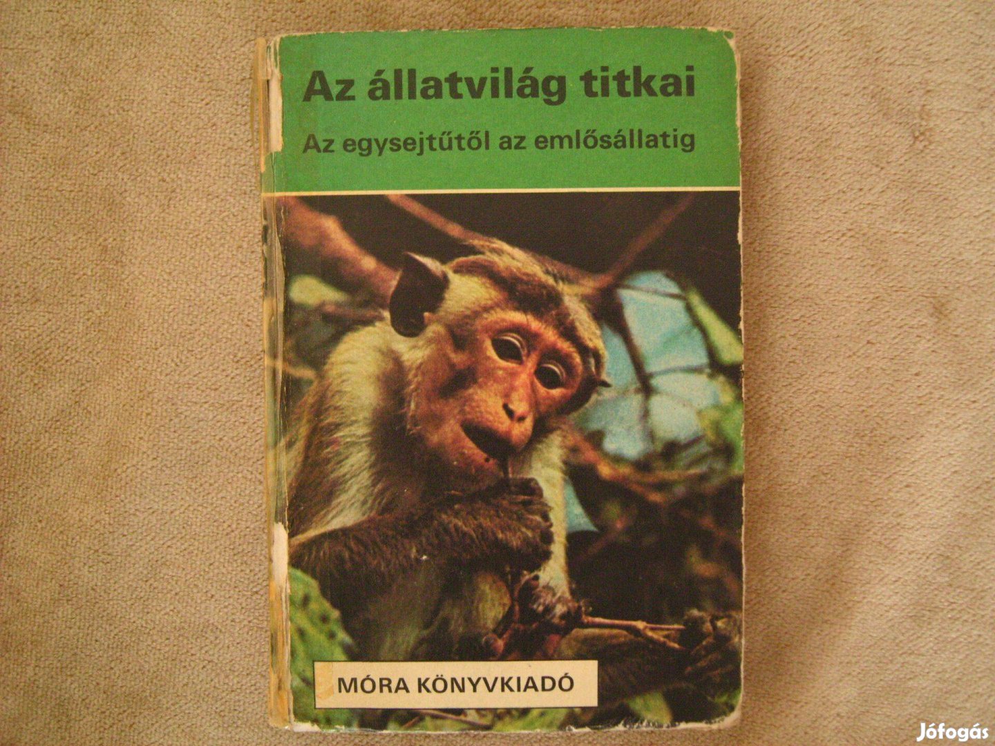 Stohl Gábor. Az állatvilág titkai 1982