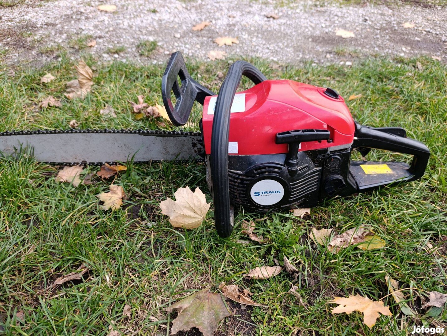 Straus Kínai láncfűrész