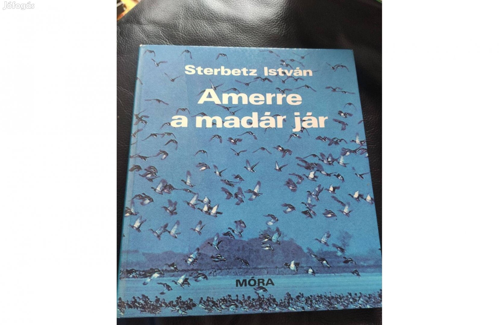 Strebetz István: Amerre a madár jár