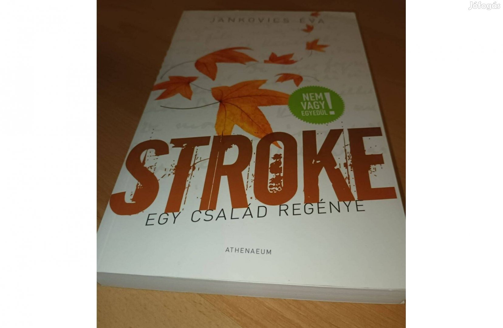 Stroke - Egy család regénye - Új