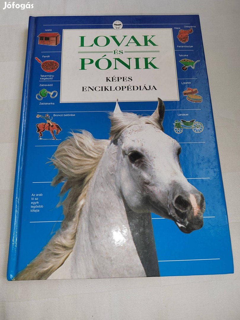 Struan Reid: Lovak és pónik