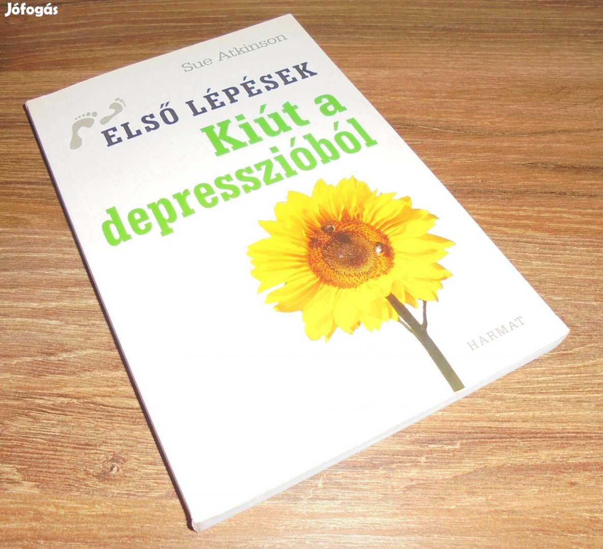 Sue Atkinson: Kiút a depresszióból