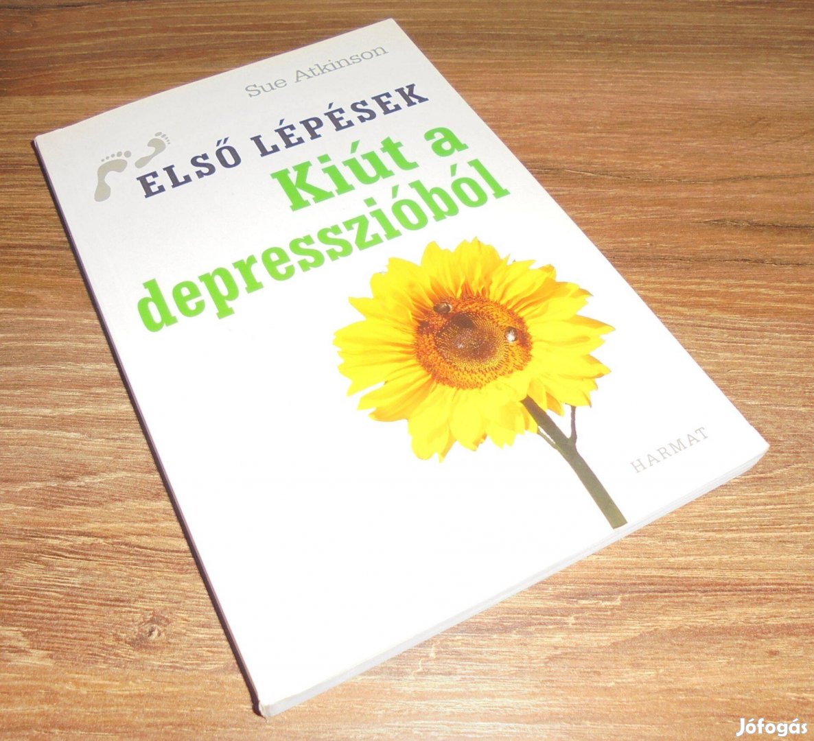 Sue Atkinson: Kiút a depresszióból