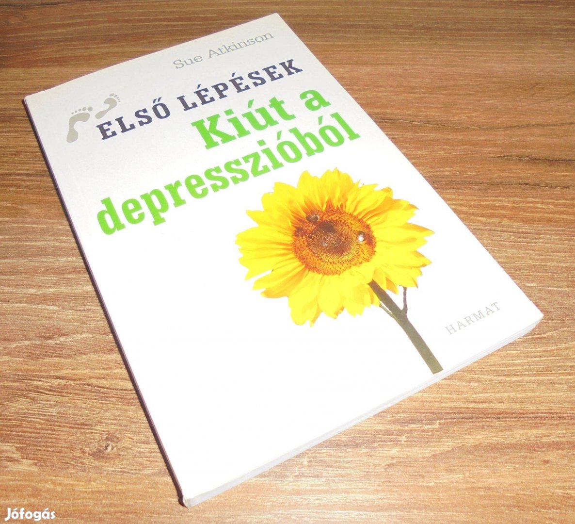 Sue Atkinson: Kiút a depresszióból