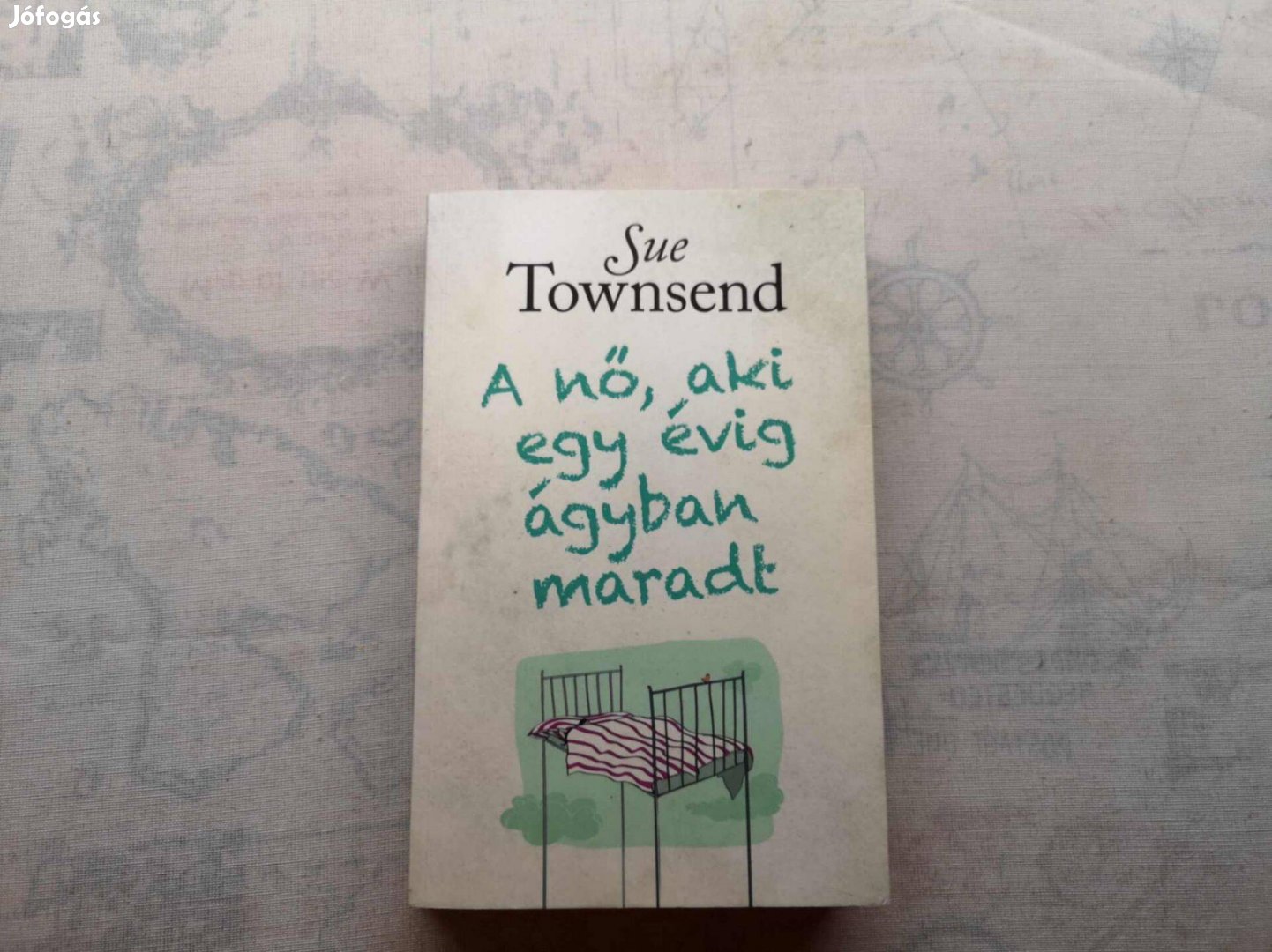 Sue Townsend - A nő, aki egy évig ágyban maradt