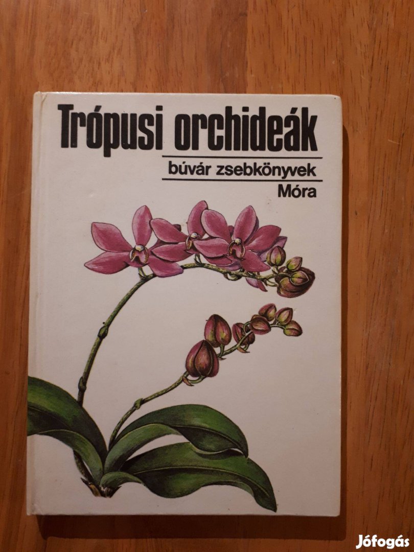 Sulyok Mária Trópusi orchideák