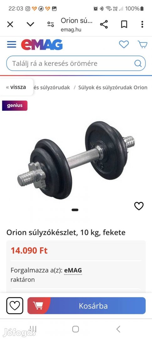 Súlyzókészlet 2x10 kg Orion