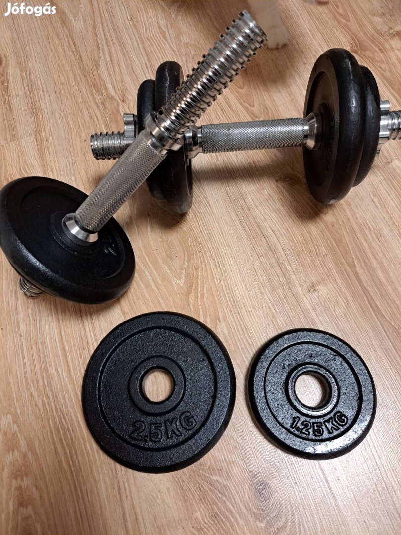 Súlyzókészlet 2x10 kg Orion