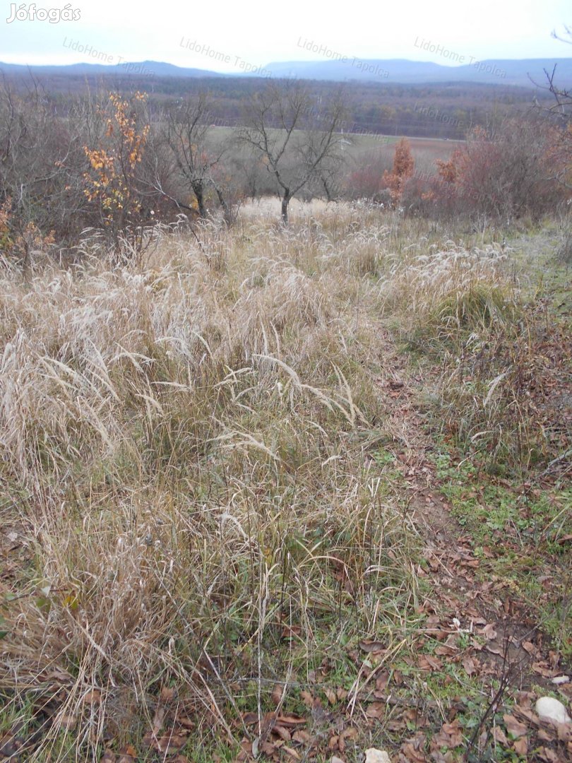 Sümegen, tájpanorámás zártkert!