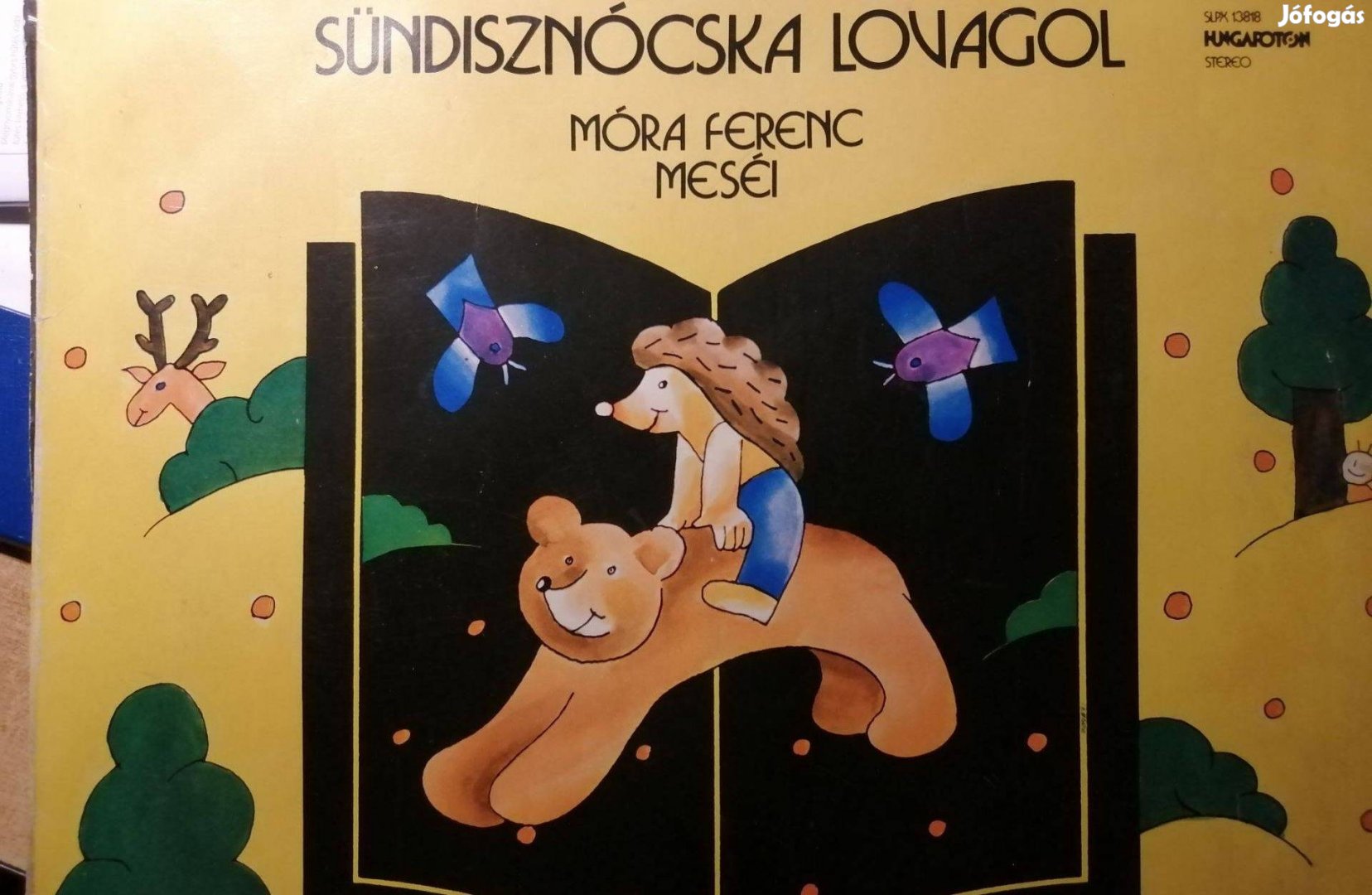 Sündisznócska lovagol