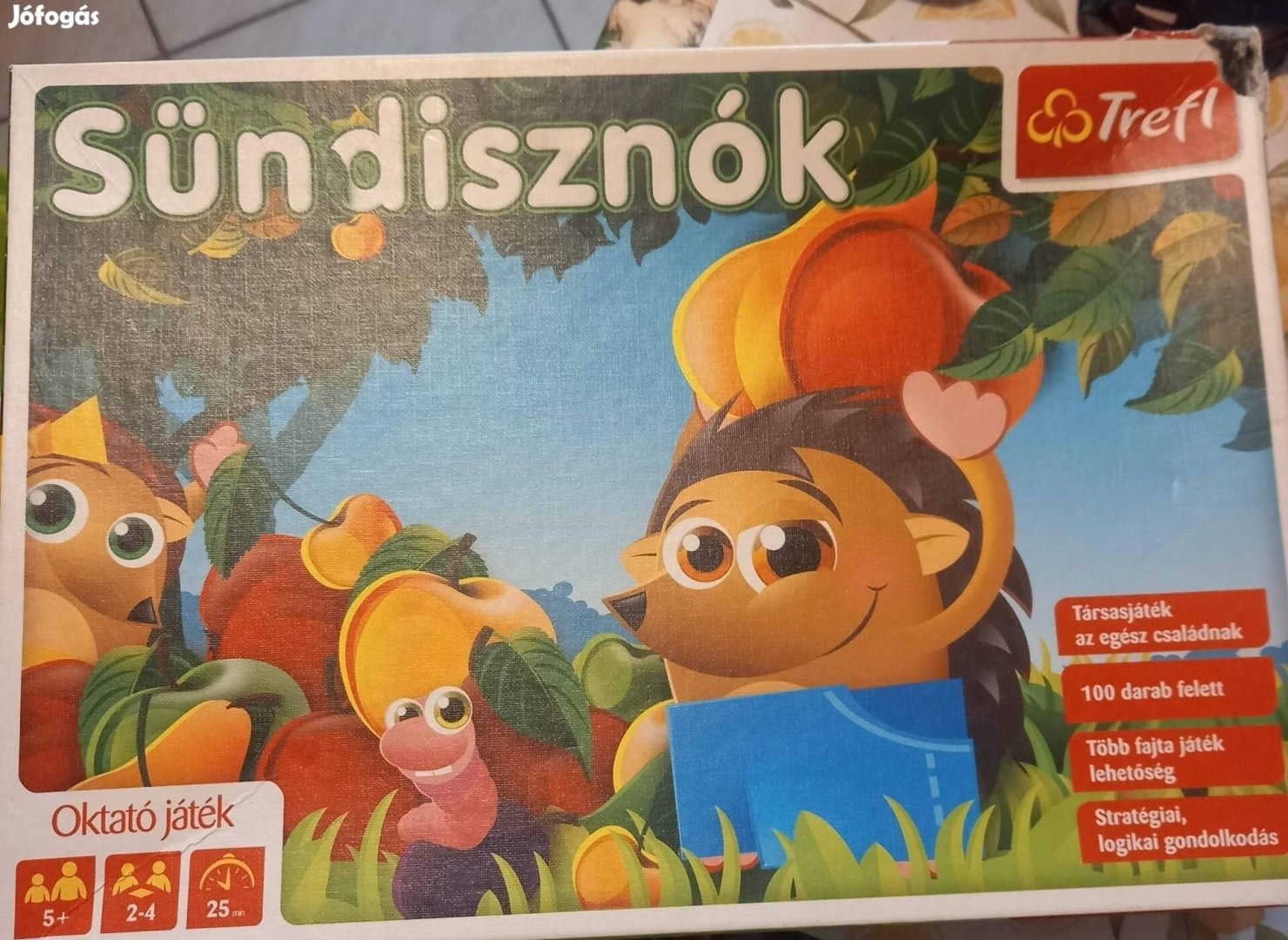 Sündisznok aranyos társasjáték