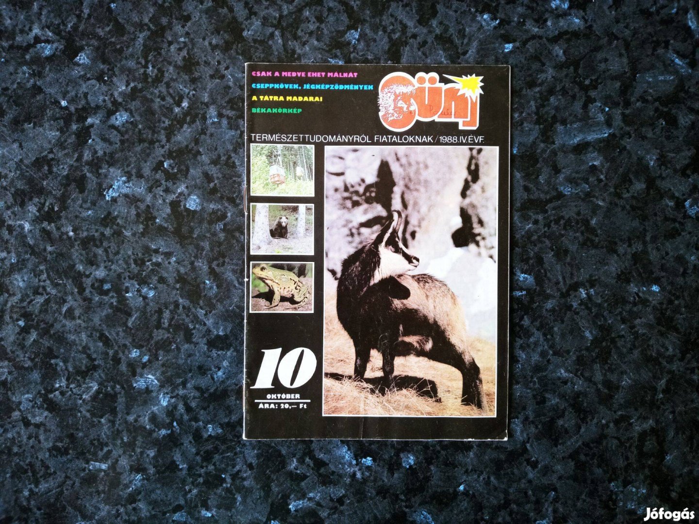 Süni természettudományról fiataloknak magazin 1988/10