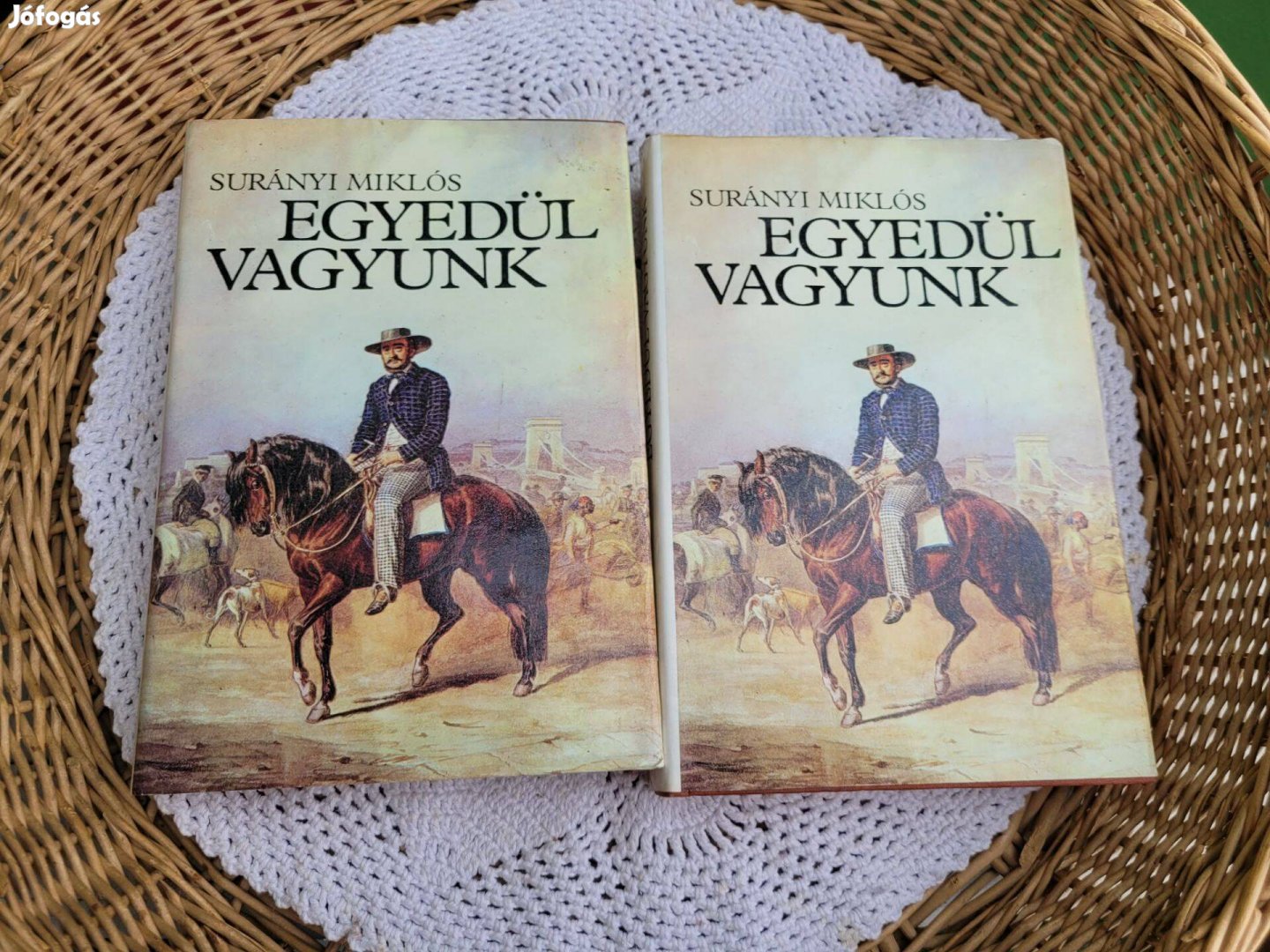 Surányi Miklós Egyedül vagyunk 1-2. -Széchenyi István