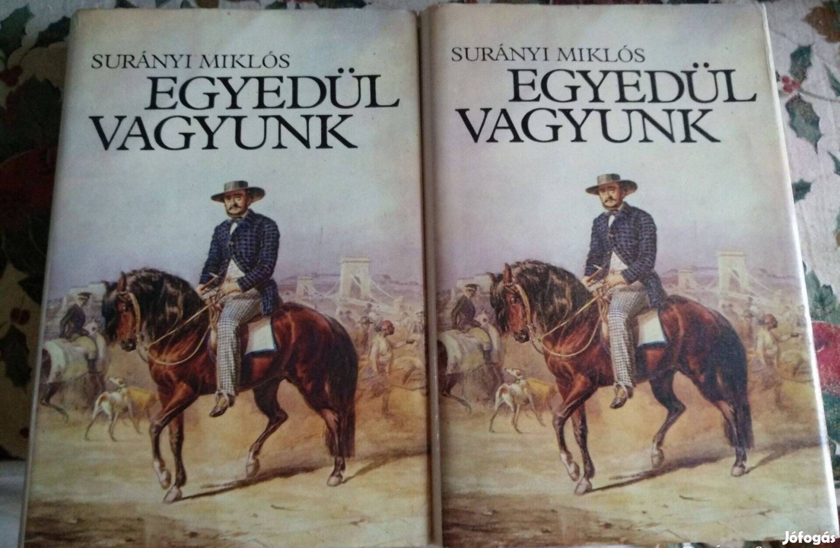 Surányi Miklós: Egyedül vagyunk 1-2