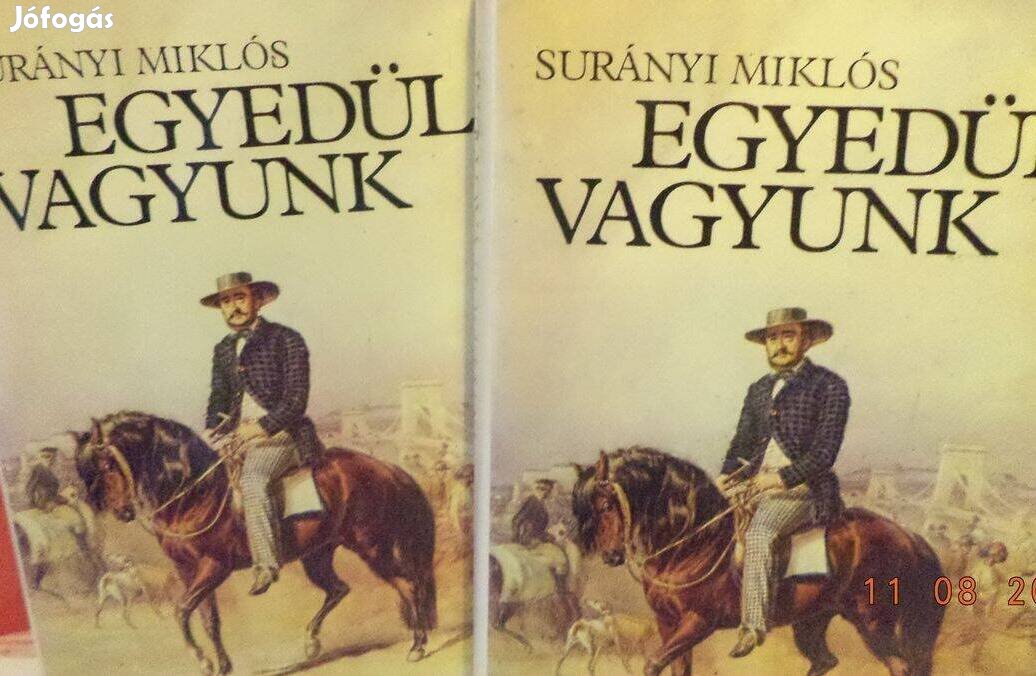 Surányi Miklós: Egyedül vagyunk I - II