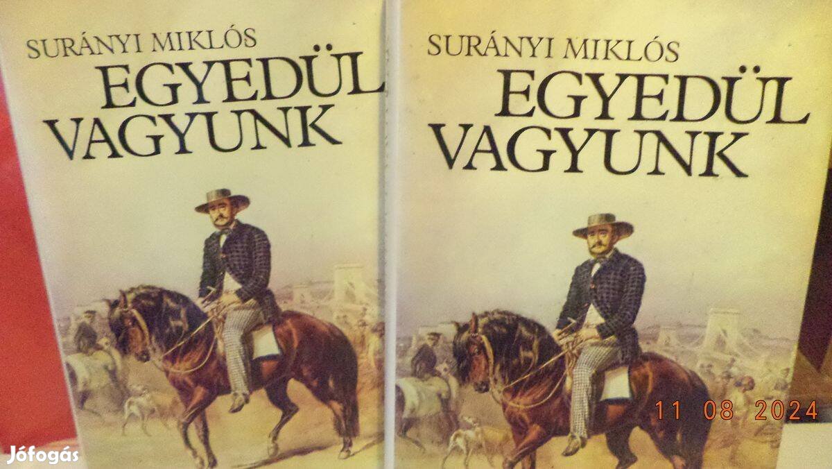 Surányi Miklós: Egyedül vagyunk I - II