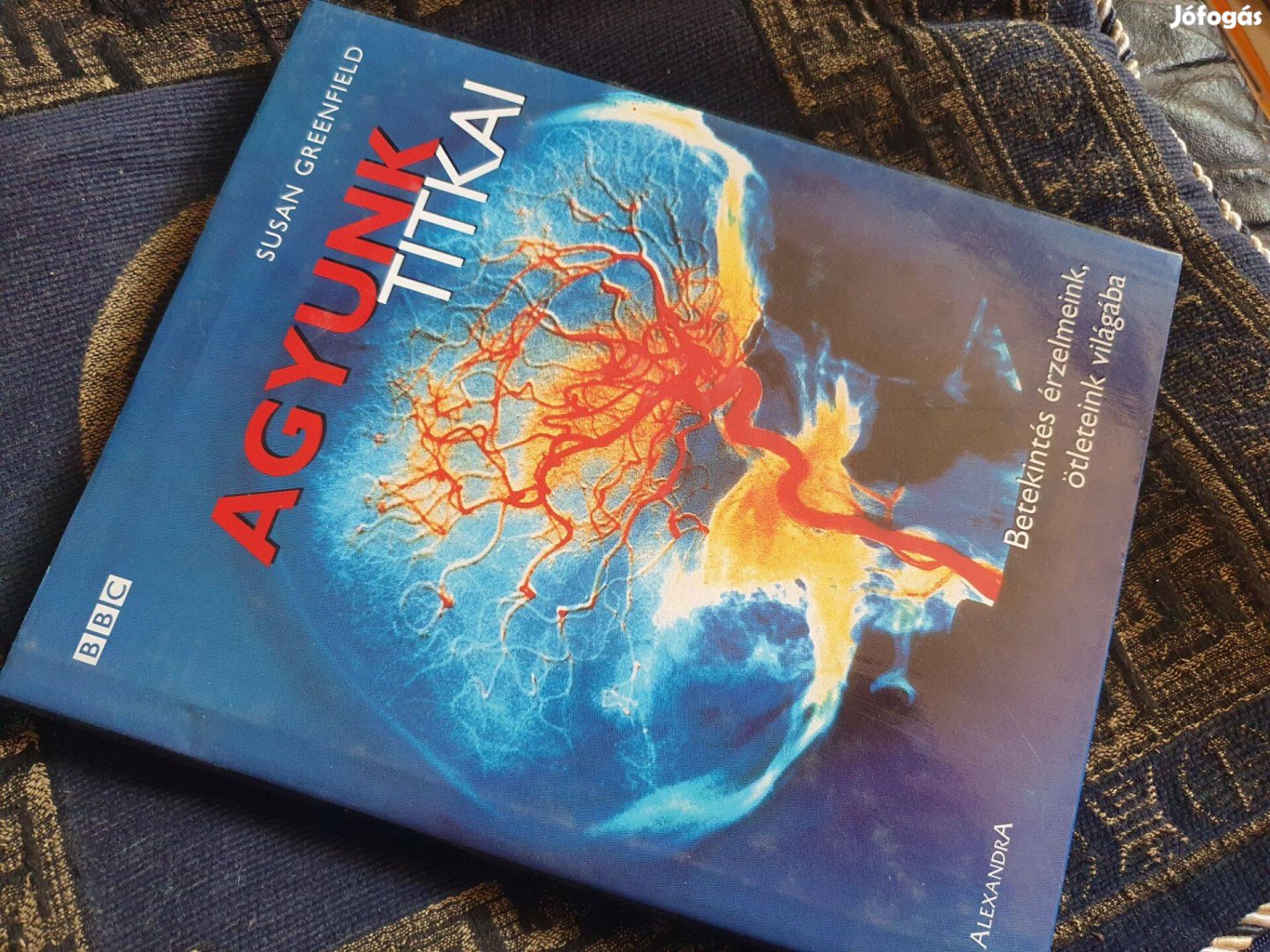 Susan A. Greenfield Agyunk titkai