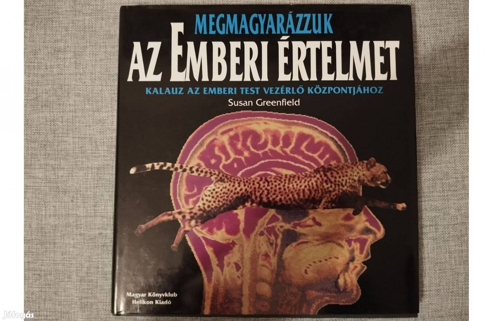 Susan Greenfield / Megmagyarázzuk az emberi értelmet