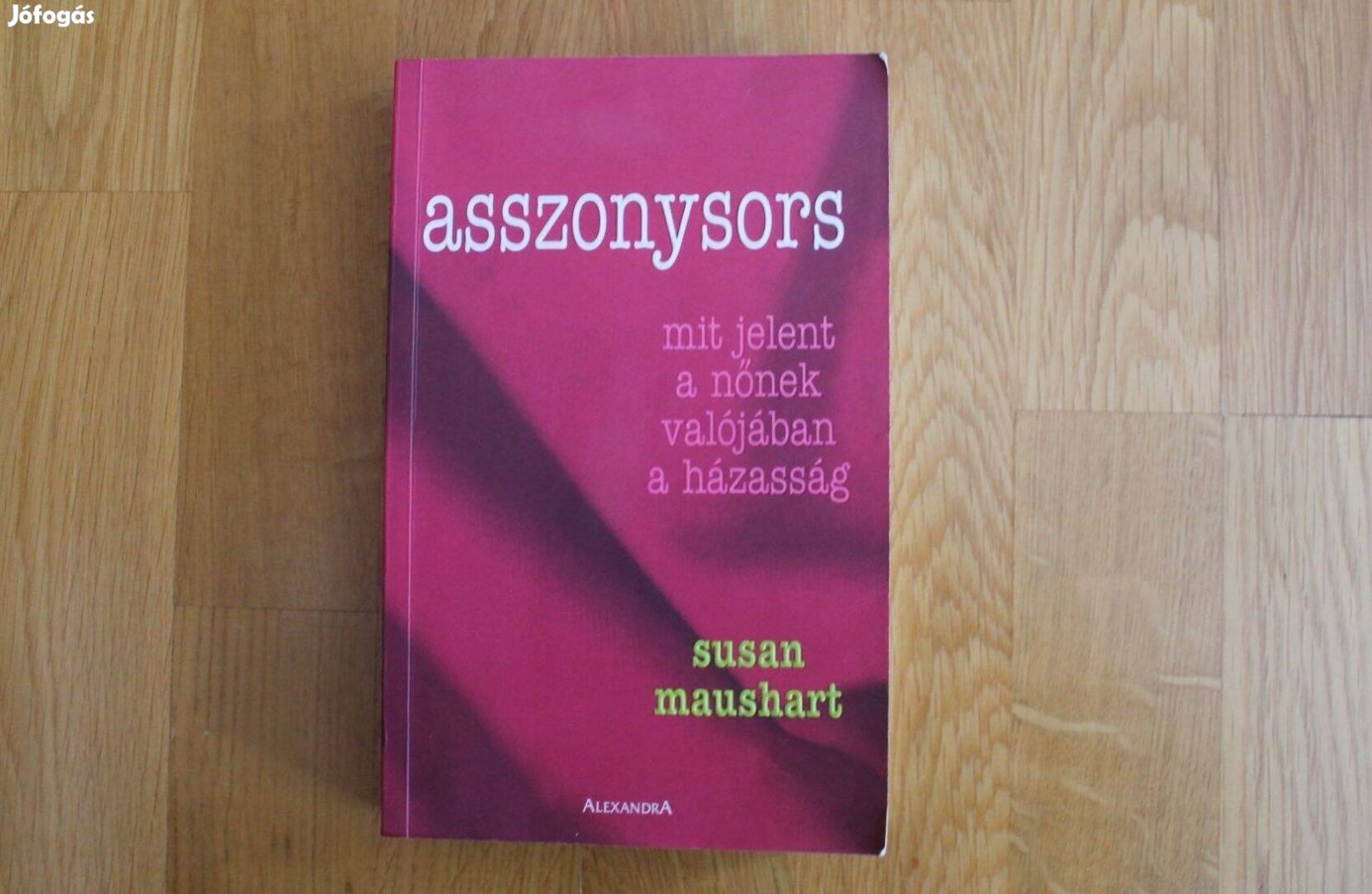 Susan Maushart - Asszonysors