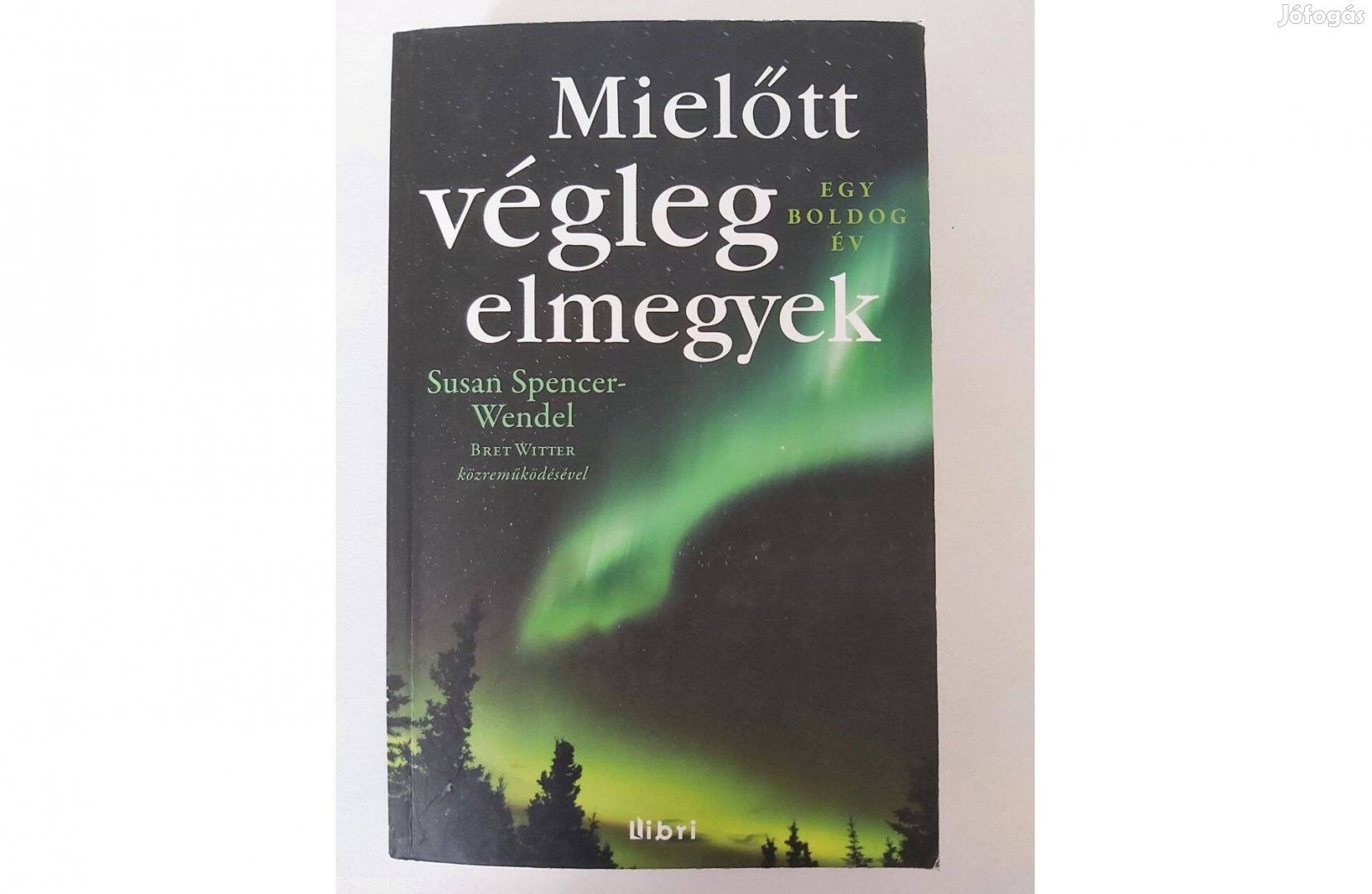 Susan Spencer-Wendel Bret Witter: Mielőtt végleg elmegyek