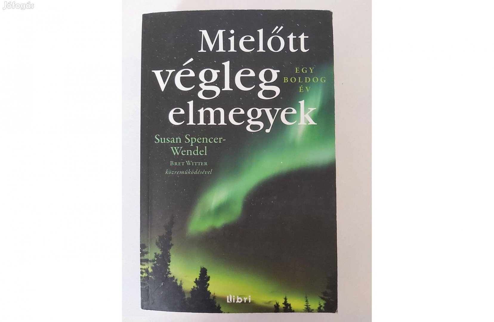 Susan Spencer-Wendel, Bret Witter: Mielőtt végleg elmegyek