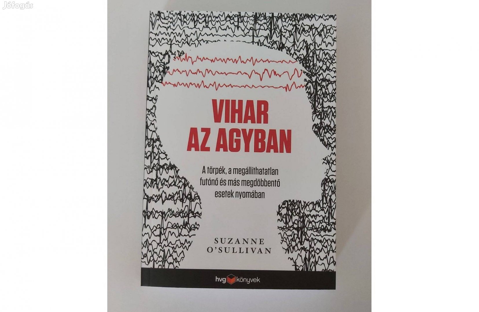 Suzanne O'Sullivan: Vihar az agyban