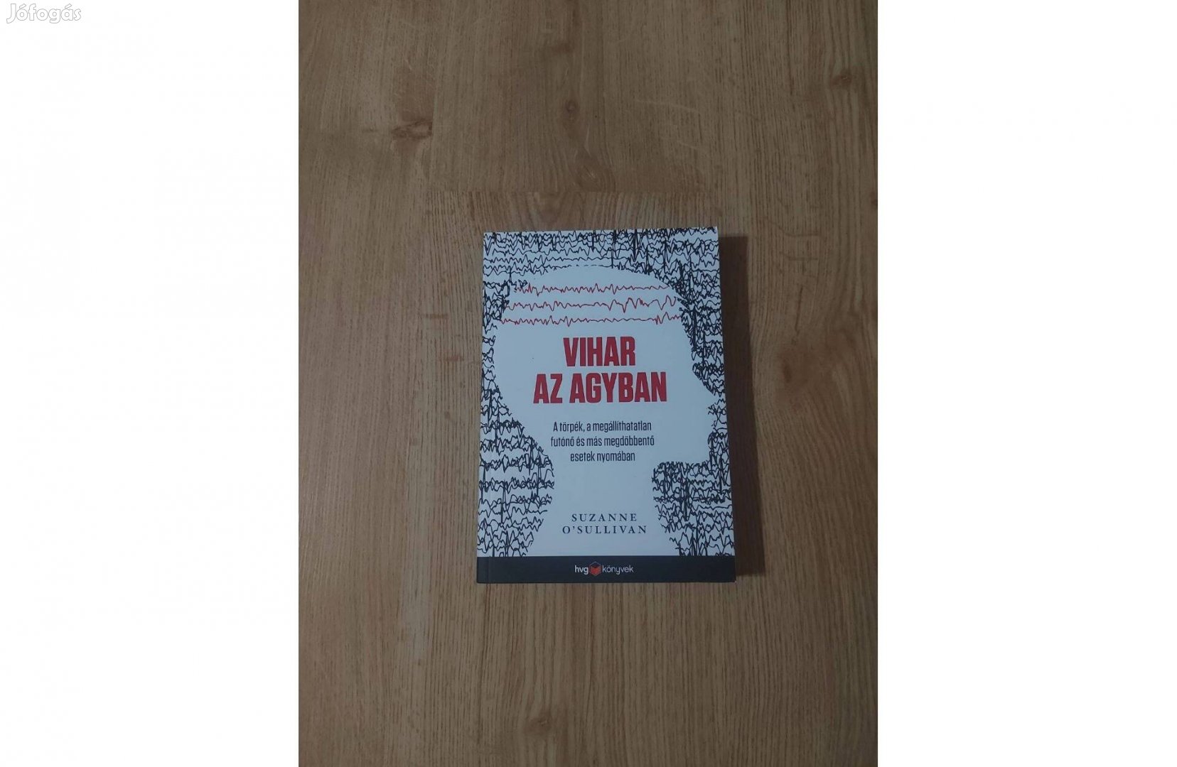 Suzanne O'Sullivan: Vihar az agyban