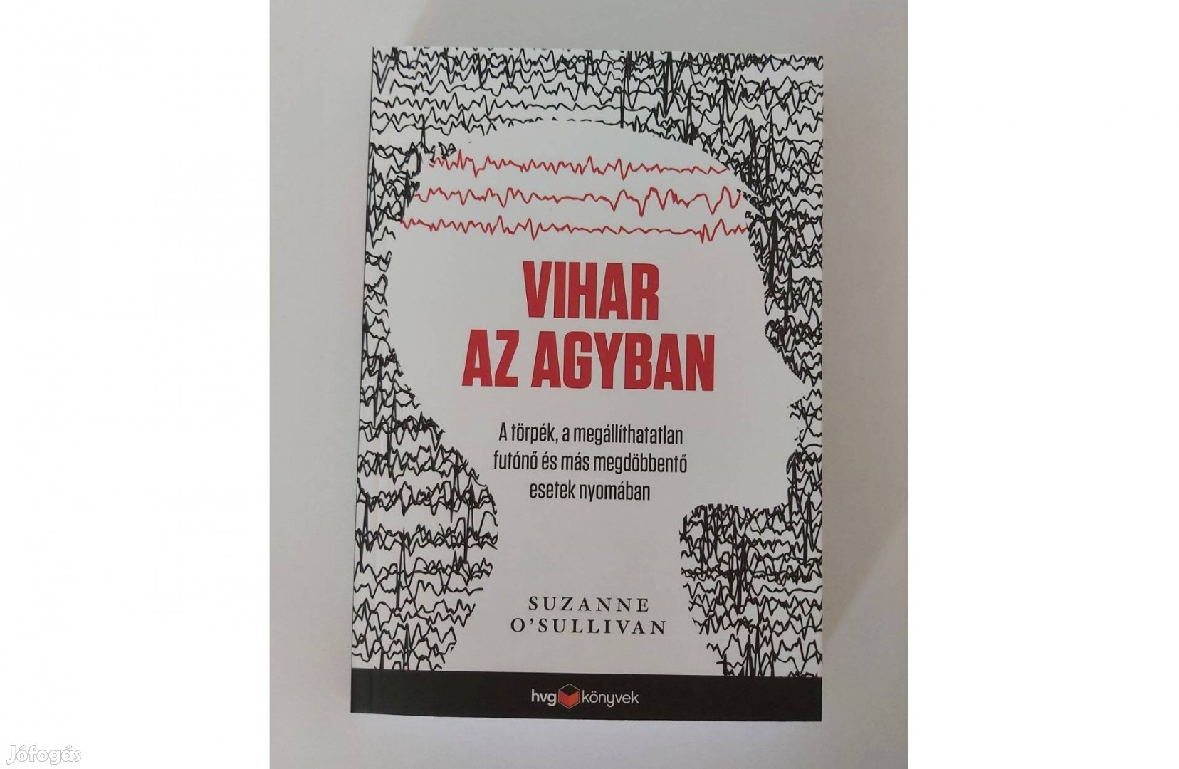 Suzanne OSullivan Vihar az agyban