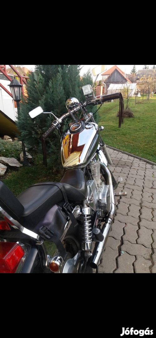 Suzuki Ls 650 savage