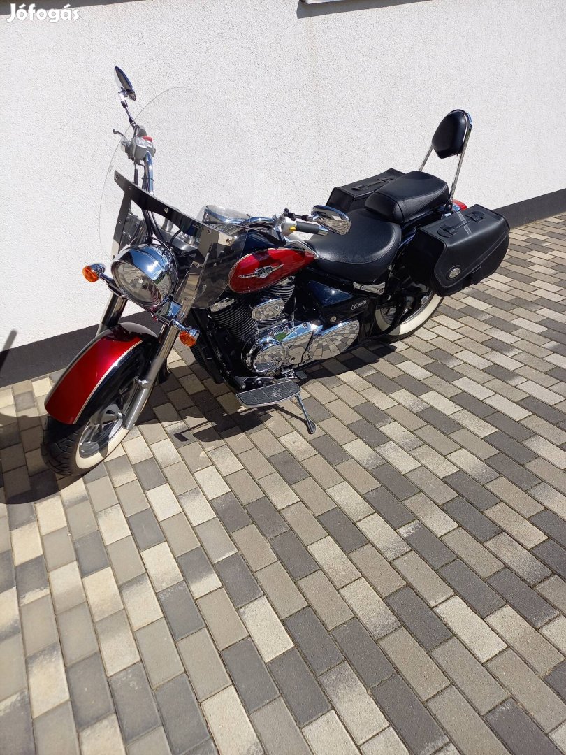 Suzuki  VL 800 (Intruder)