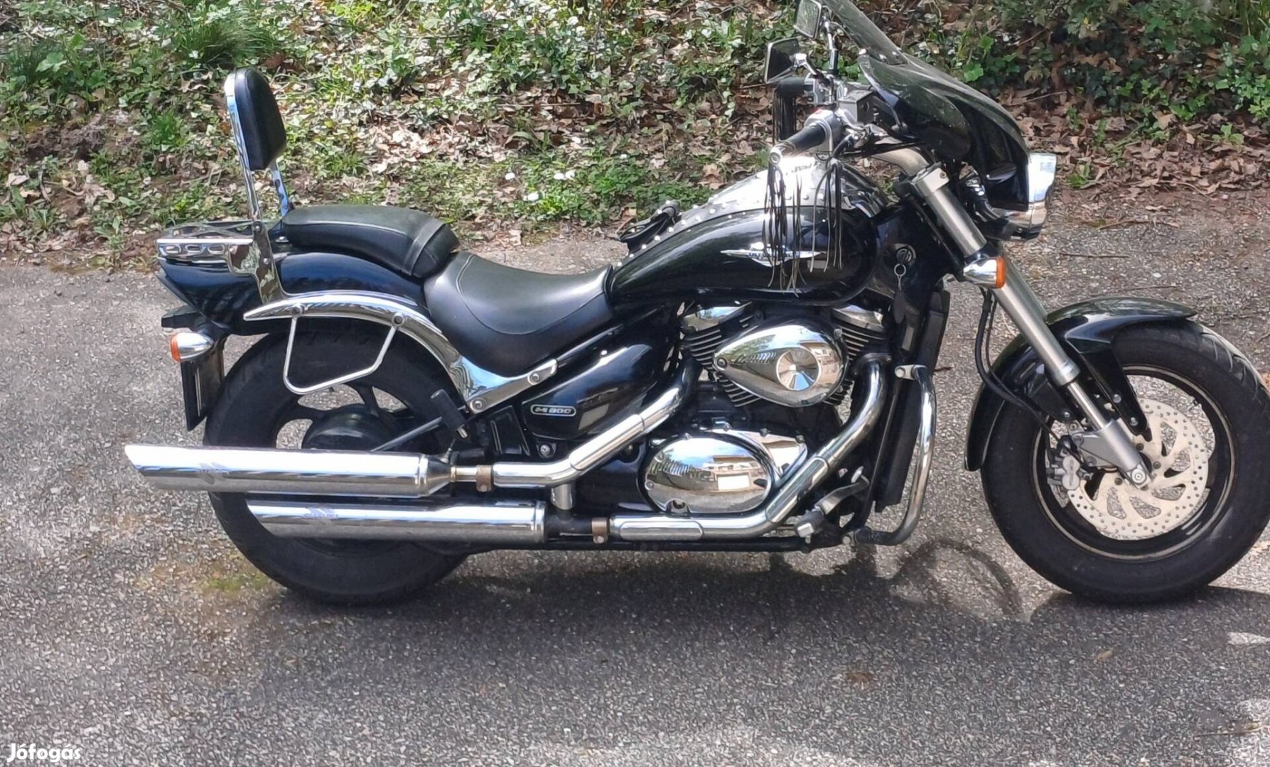 Suzuki intruder