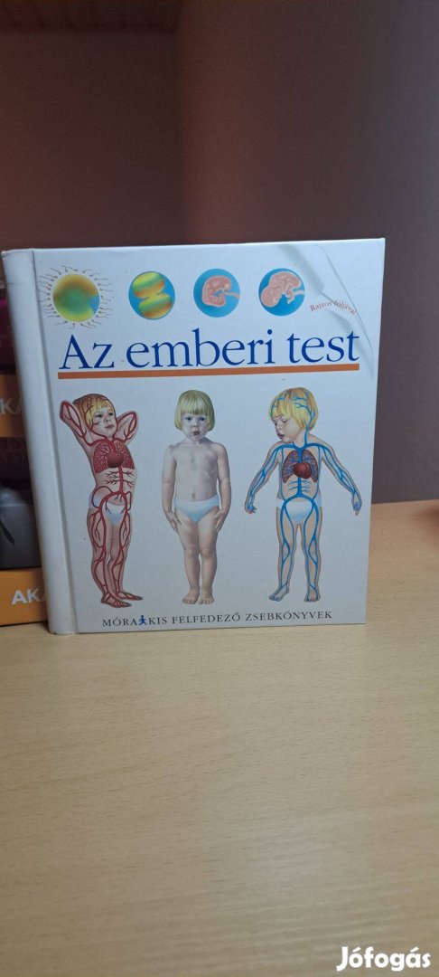 Sylvaine Peyrols: Az emberi test