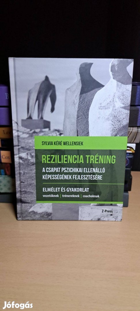 Sylvia Kéré Wellensiek: Reziliencia tréning