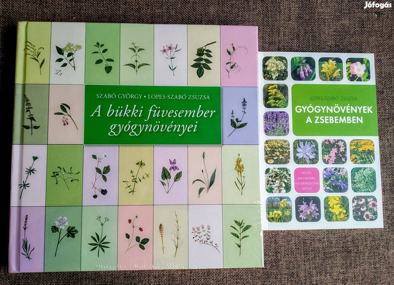 Szabó György A bükki füvesember gyógynövényei,Gyógynövények