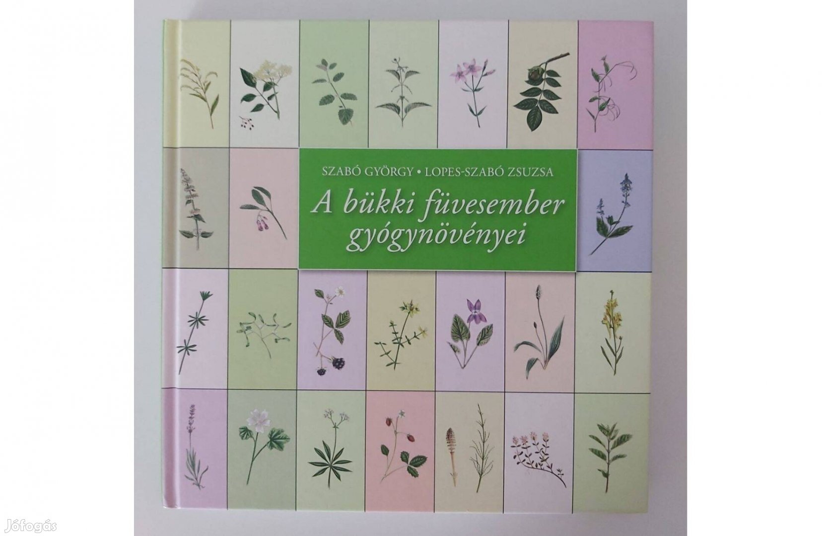 Szabó György: A bükki füvesember gyógynövényei