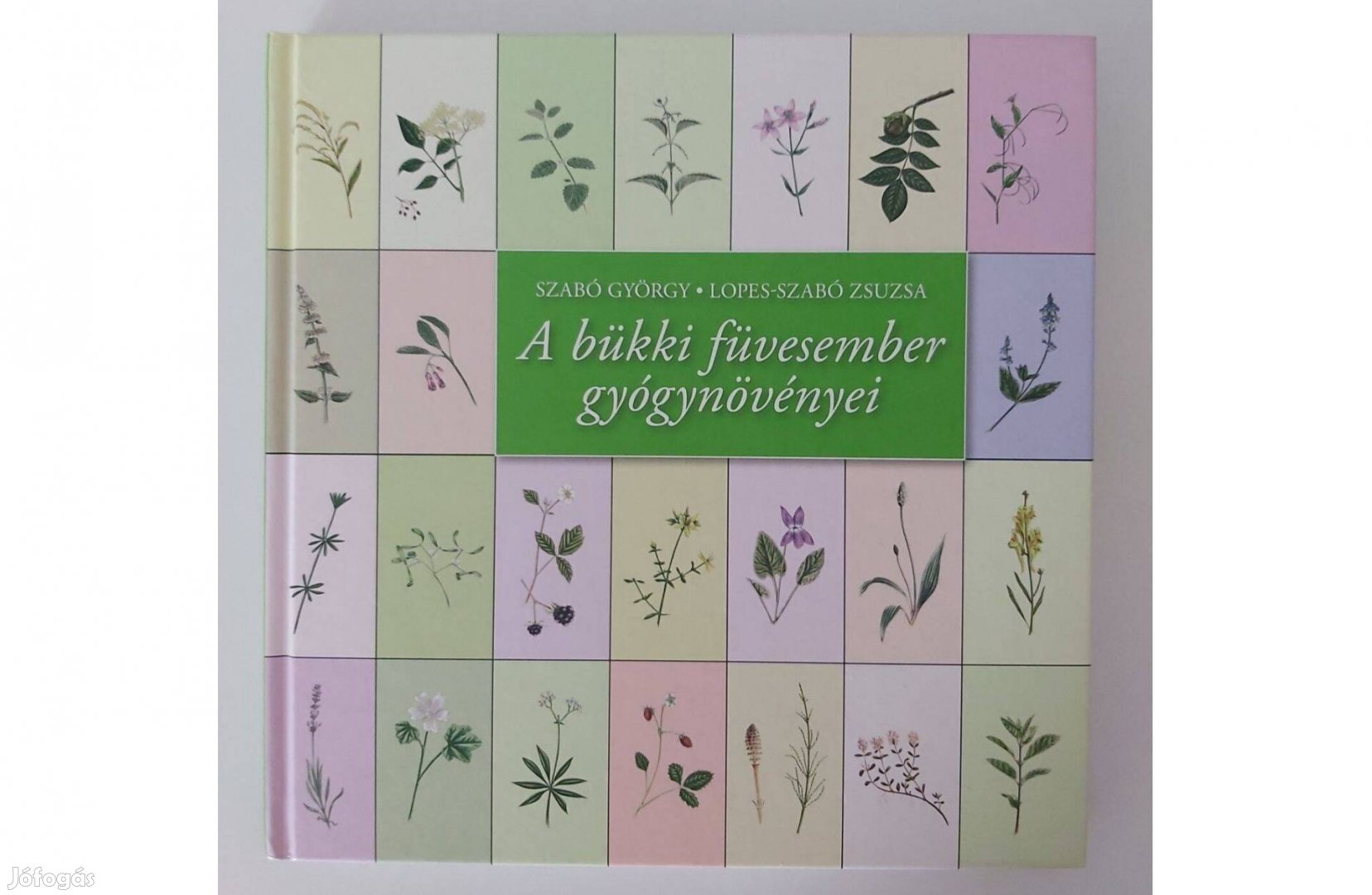 Szabó György: A bükki füvesember gyógynövényei