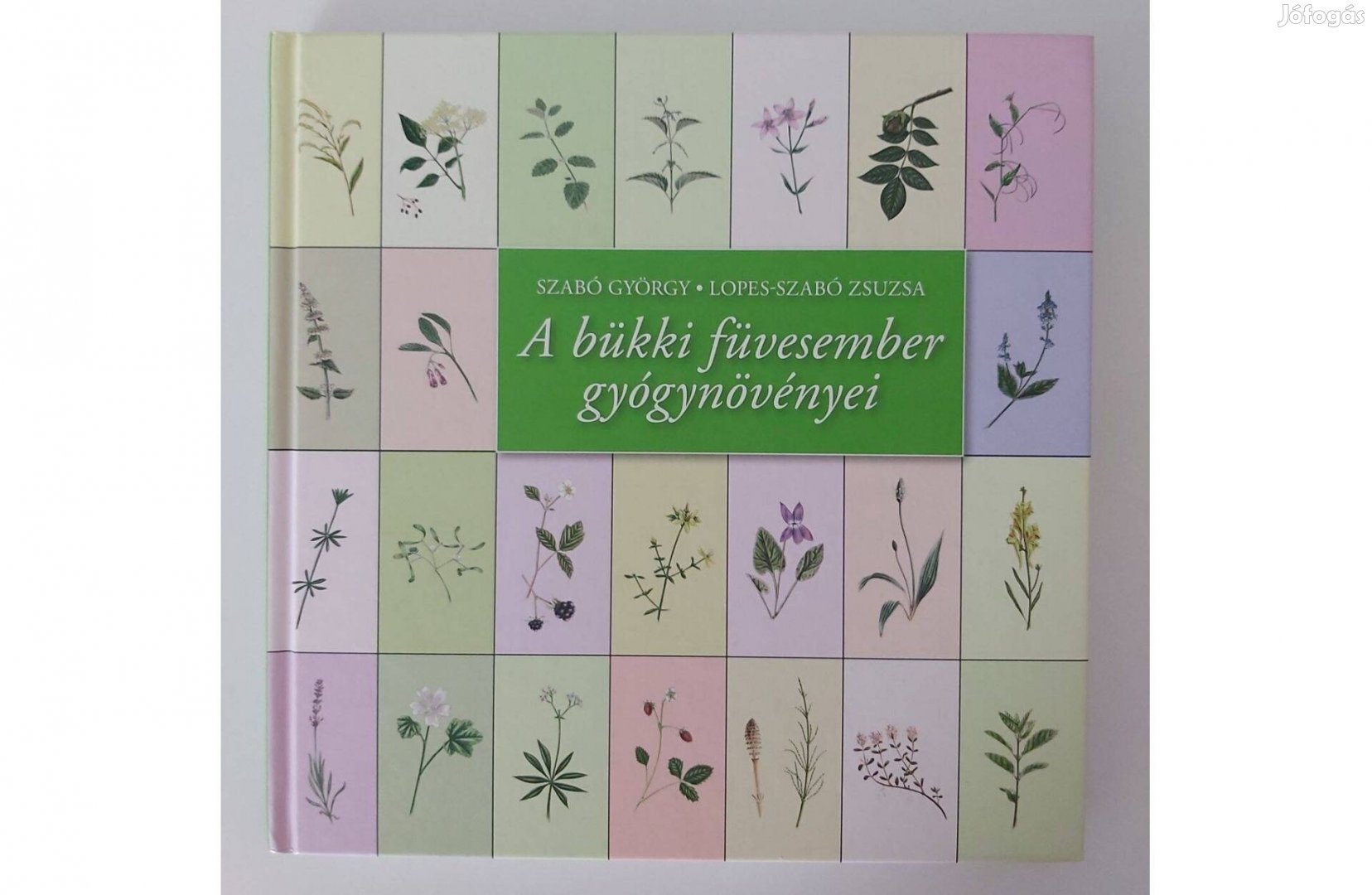 Szabó György: A bükki füvesember gyógynövényei