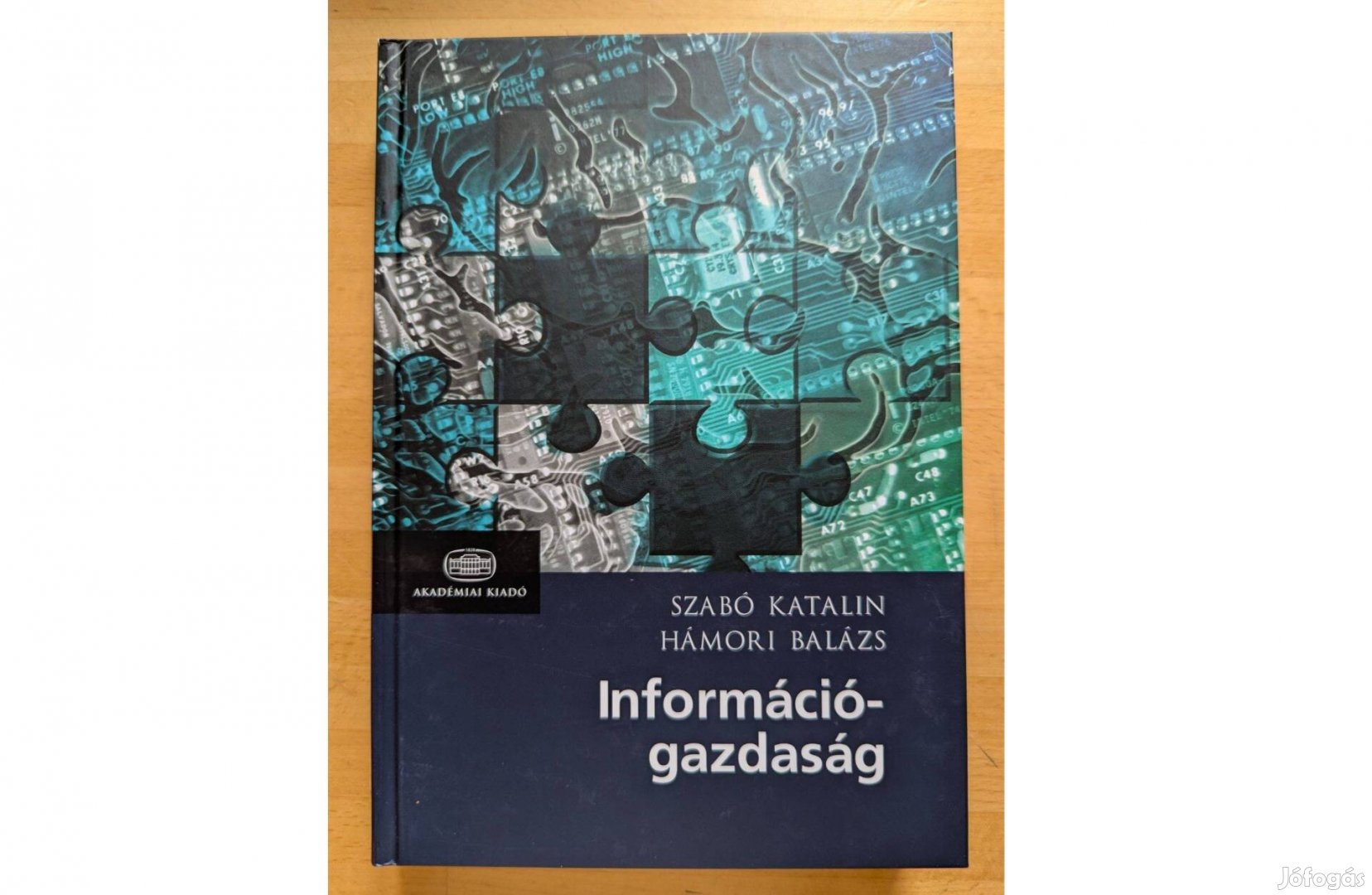 Szabó-Hámori Információgazdaság 2006 Új Akadémiai 748 oldal