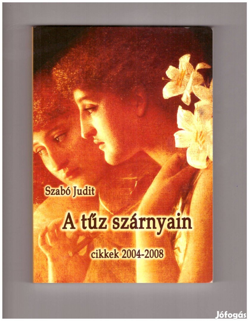 Szabó Judit: A tűz szárnyain könyv