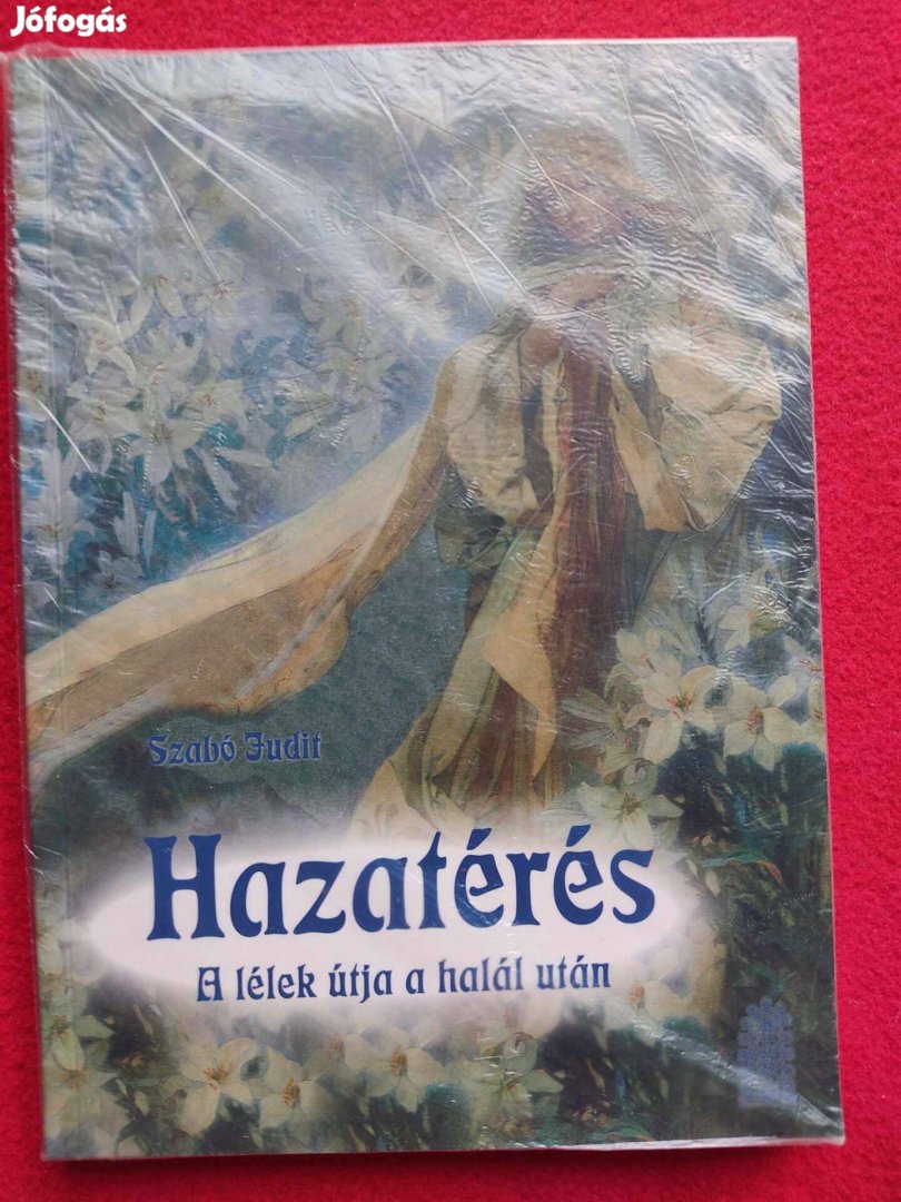 Szabó Judit: Hazatérés