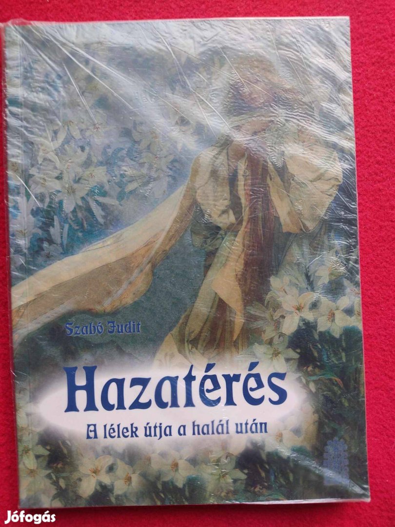 Szabó Judit : Hazatérés