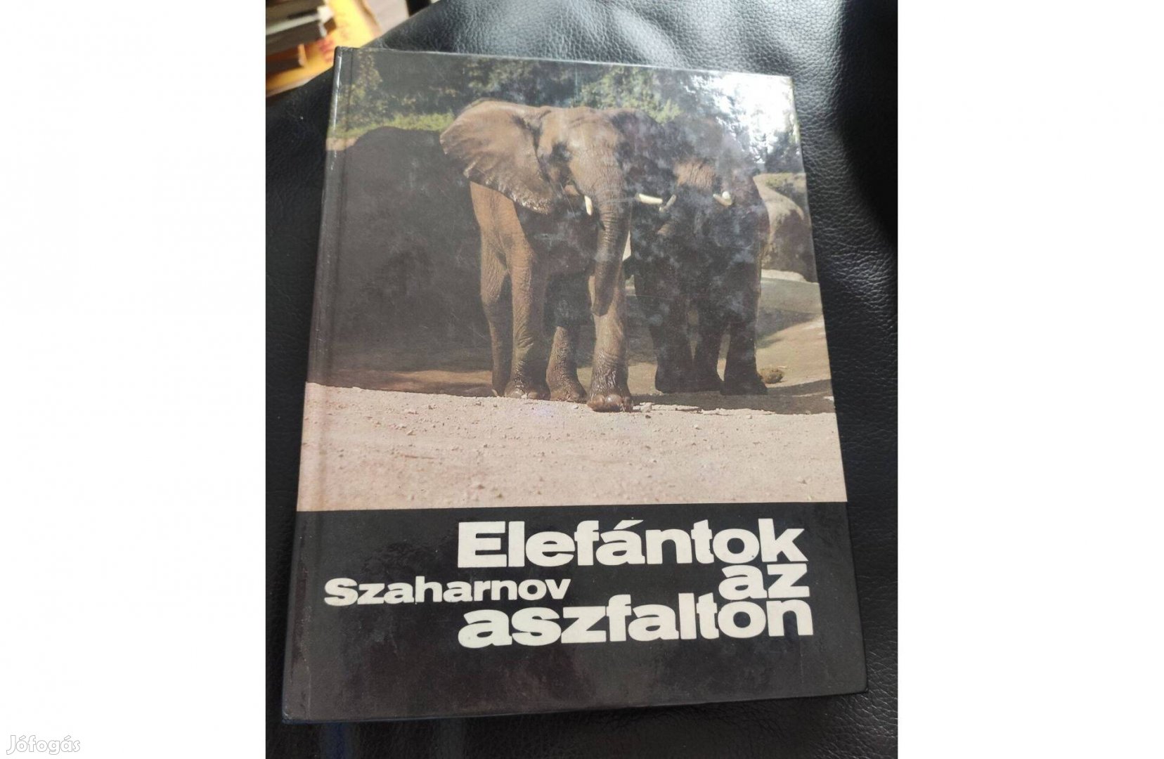 Szaharnov: Elefántok az aszfalton