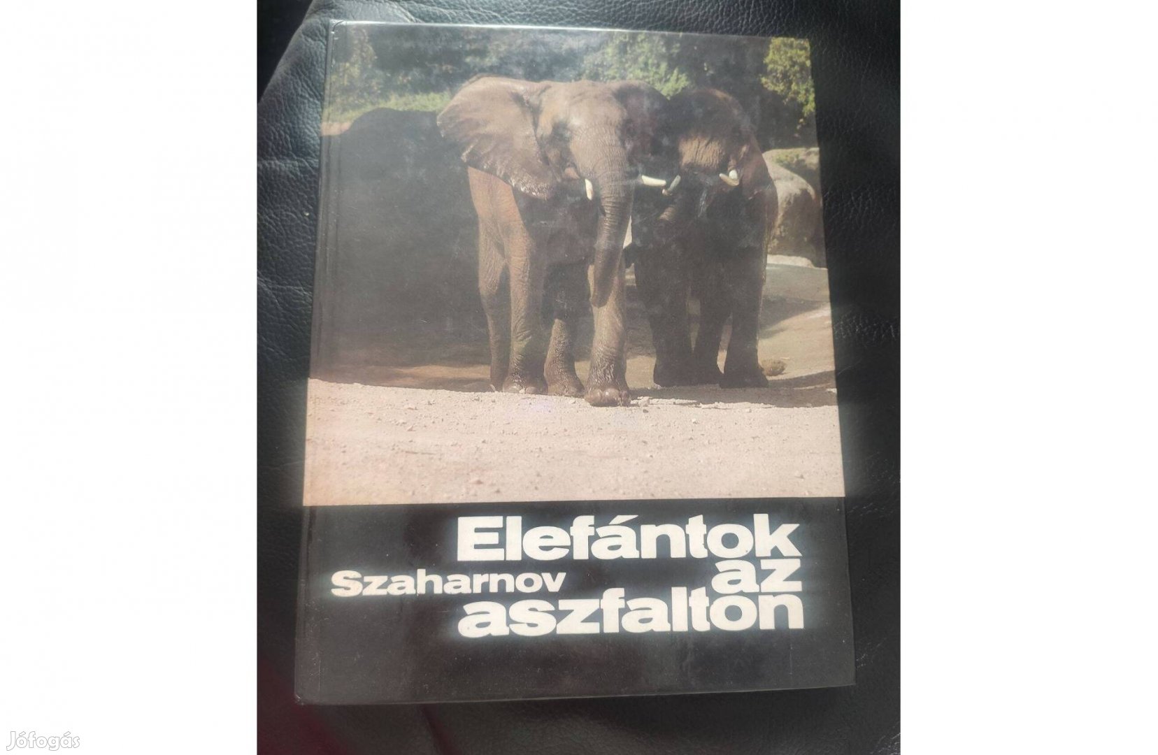 Szaharnov: Elefántok az aszfalton