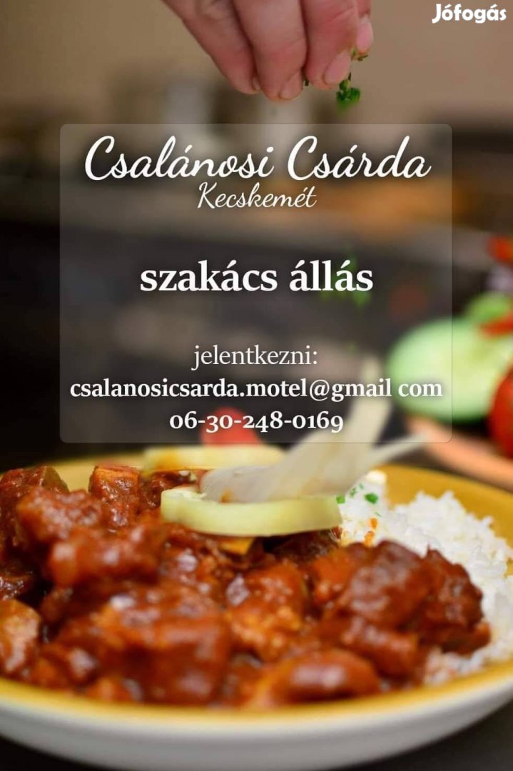 Szakács állás