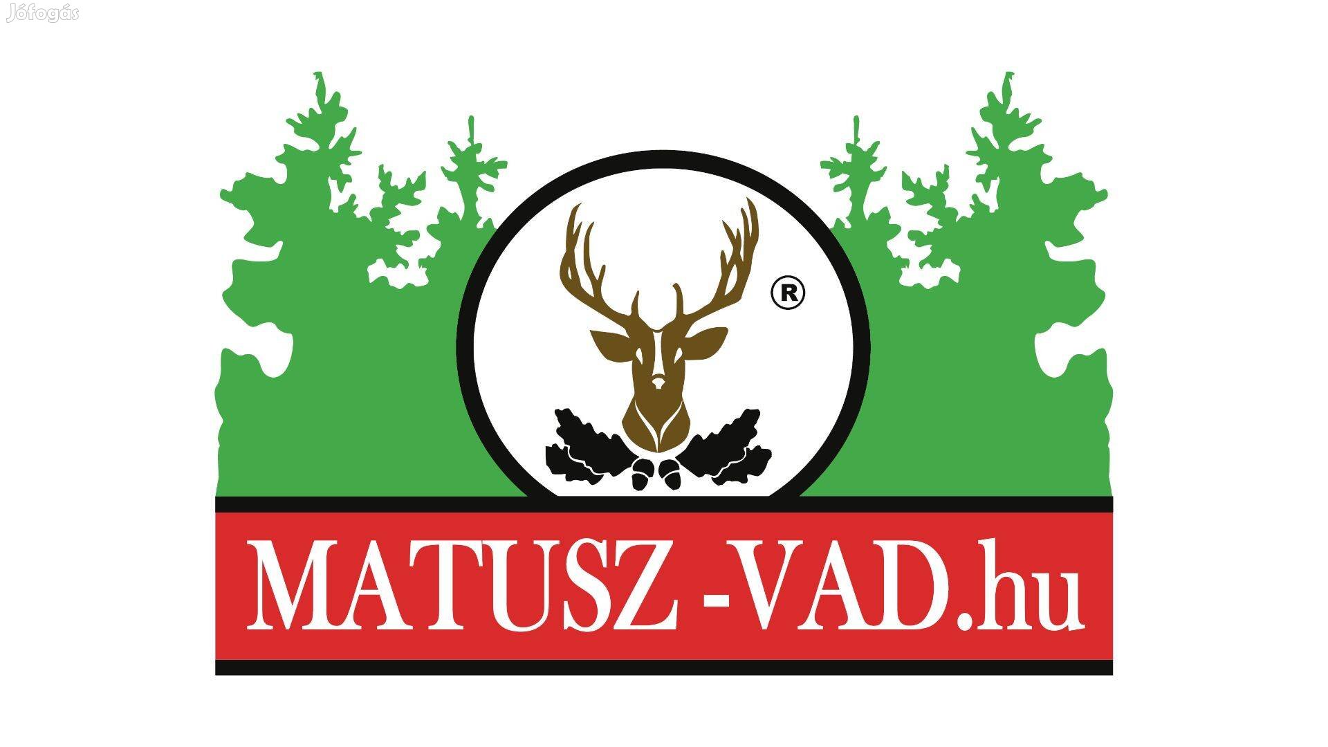 Szakszövegíró kollégát keresünk Budapestre!