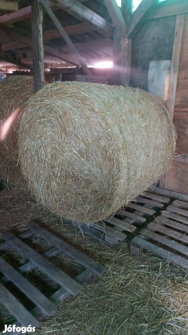 Szalma bála - nagy kör