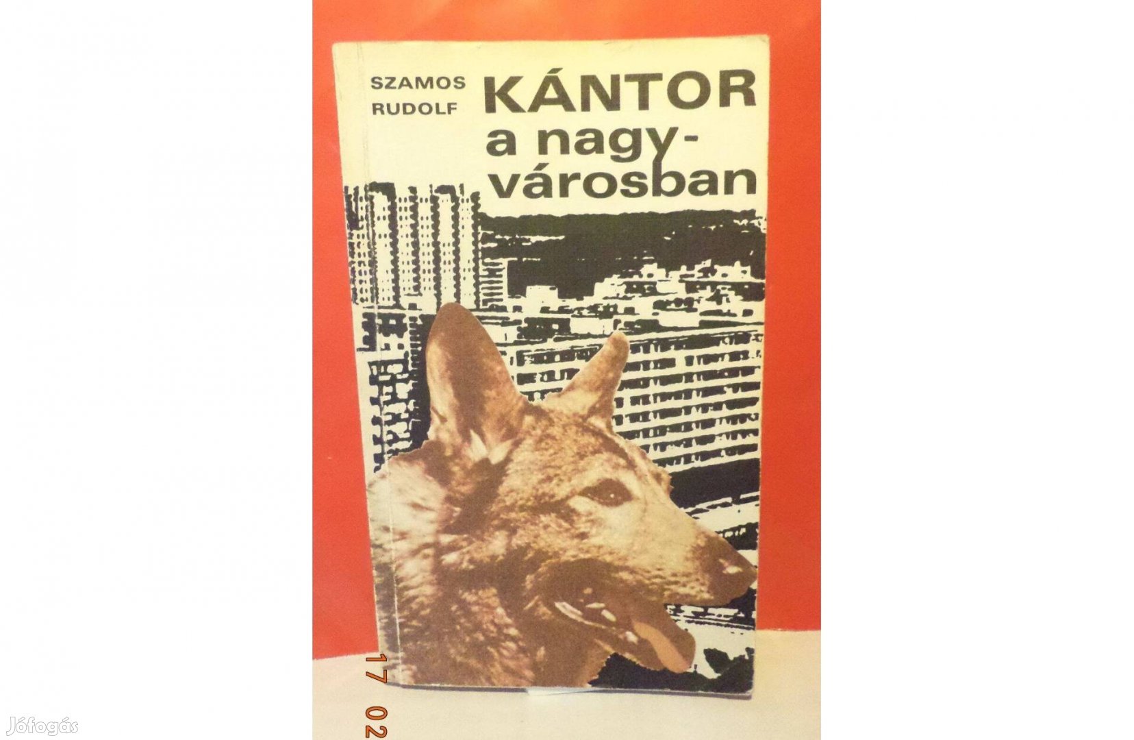 Szamos Rudolf: Kántor a nagyvárosban