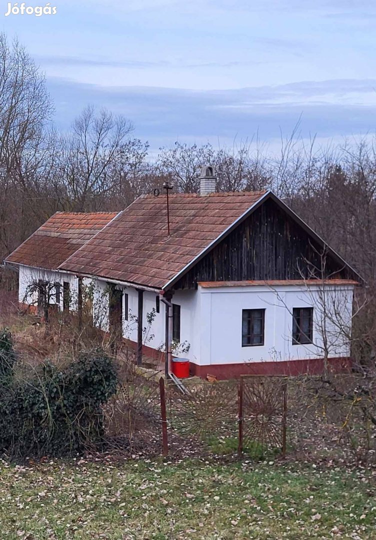 Szamos parti "kis" ház keresi új tulajdonosát. 70/3673298